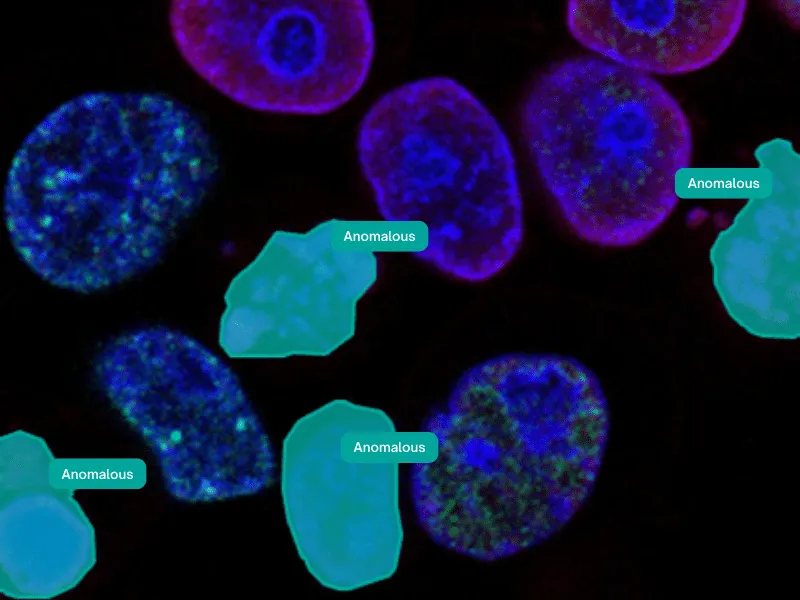 Pharmaceutical & Healthcare: